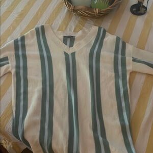 Wild Fable Green and Cream V-Neck Sweater